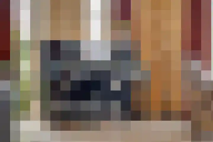 Haarspit 55 Denekamp thumbnail 9