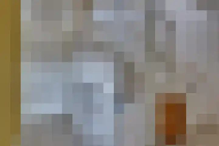 Haarspit 8 Holten thumbnail 13