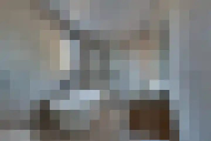 Haarspit 8 Holten thumbnail 14