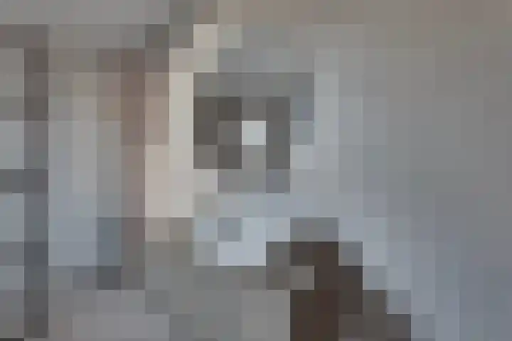 Haarspit 8 Holten thumbnail 15