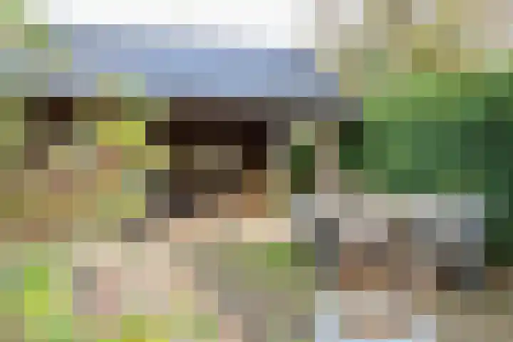 Haarspit 8 Holten thumbnail 23