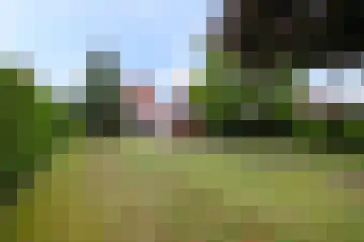 Haarspit 8 Holten thumbnail 27