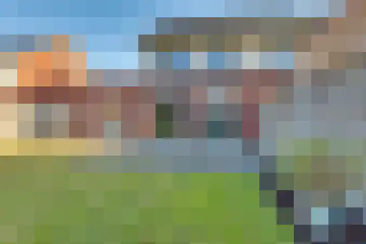 Haarspit 8 Holten thumbnail 27