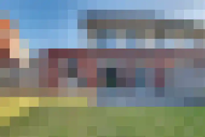 Haarspit 8 Holten thumbnail 28