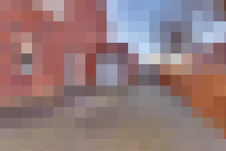 Haarspit 8 Holten thumbnail 30