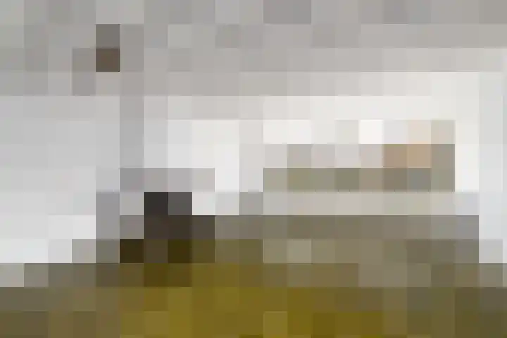 Haarspit 8 Holten thumbnail 35
