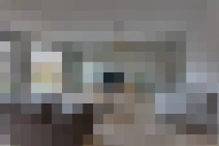Haarspit 8 Holten thumbnail 4