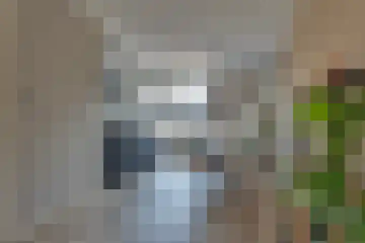 Haarspit 8 Holten thumbnail 7