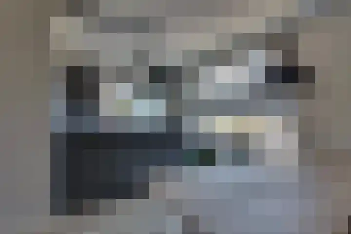 Haarspit 8 Holten thumbnail 8