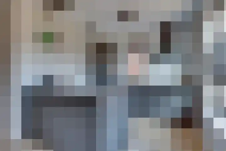 Haarspit 8 Holten thumbnail 9