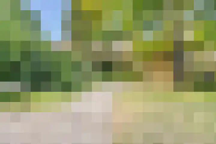 Haarspithoek 75 Enschede thumbnail 28