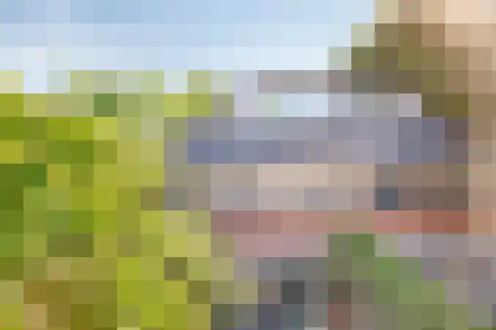 Haarspithoek 75 Enschede thumbnail 30