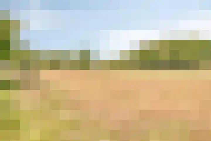 Haarspithoek 75 Enschede thumbnail 32