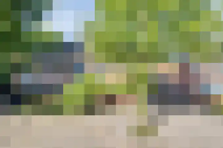 Haarspithoek 75 Enschede thumbnail 37