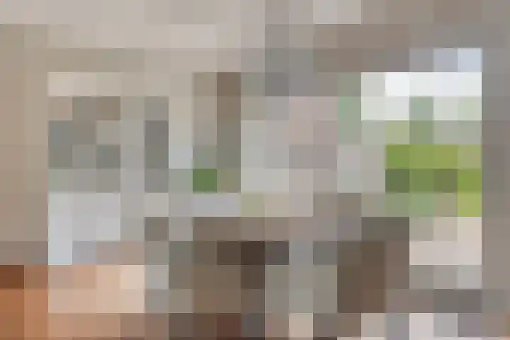 Haarstraat 10 Ammerzoden thumbnail 13