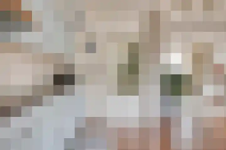 Haarstraat 10 Ammerzoden thumbnail 15