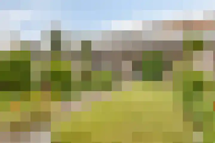 Haarstraat 10 Ammerzoden thumbnail 4