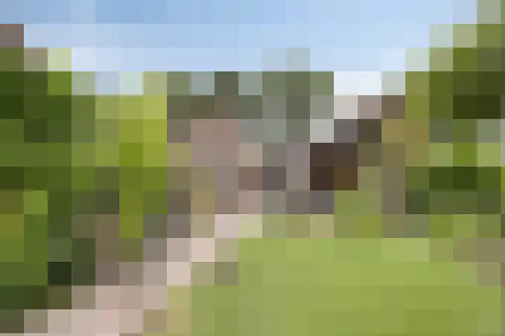 Haarstraat 20 Weerselo thumbnail 35