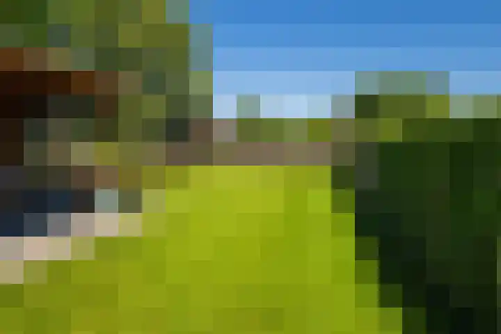 Haarstraat 8 Enspijk thumbnail 39