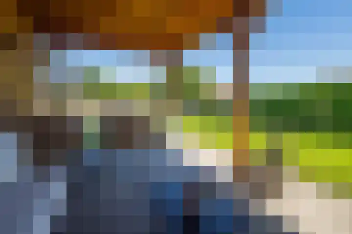 Haarstraat 8 Enspijk thumbnail 42