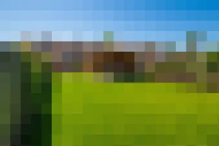 Haarstraat 8 Enspijk thumbnail 44