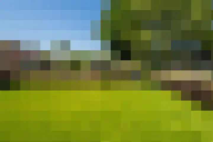 Haarstraat 8 Enspijk thumbnail 45