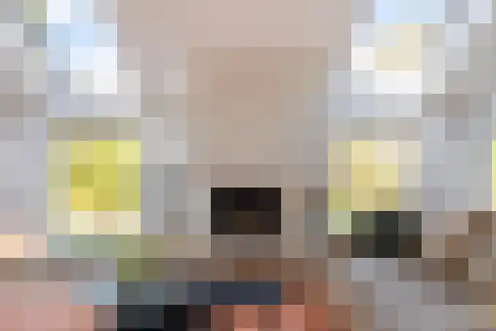 Haarveen 28 Foxwolde thumbnail 10