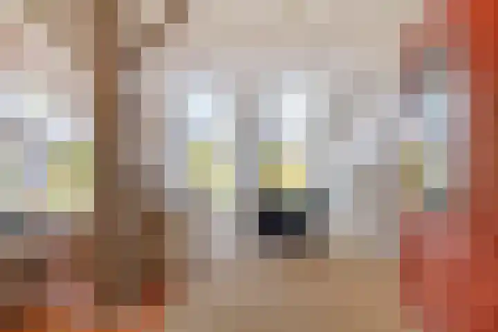 Haarveen 28 Foxwolde thumbnail 11