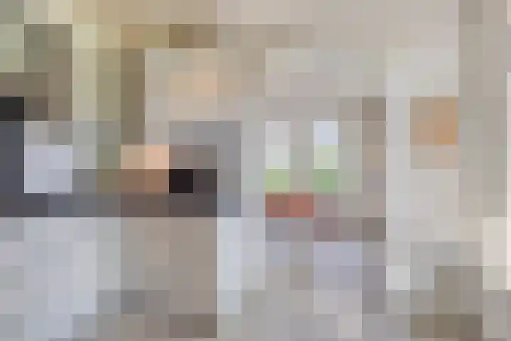 Haarveen 28 Foxwolde thumbnail 15