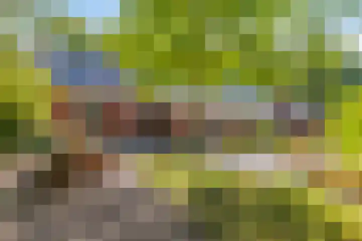 Haarveen 28 Foxwolde thumbnail 42