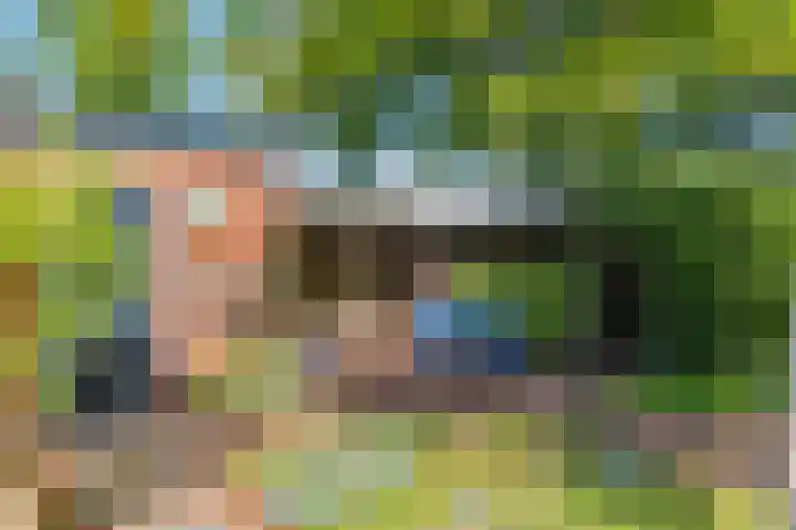 Haarveen 28 Foxwolde thumbnail 45