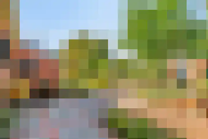 Haarveen 28 Foxwolde thumbnail 46