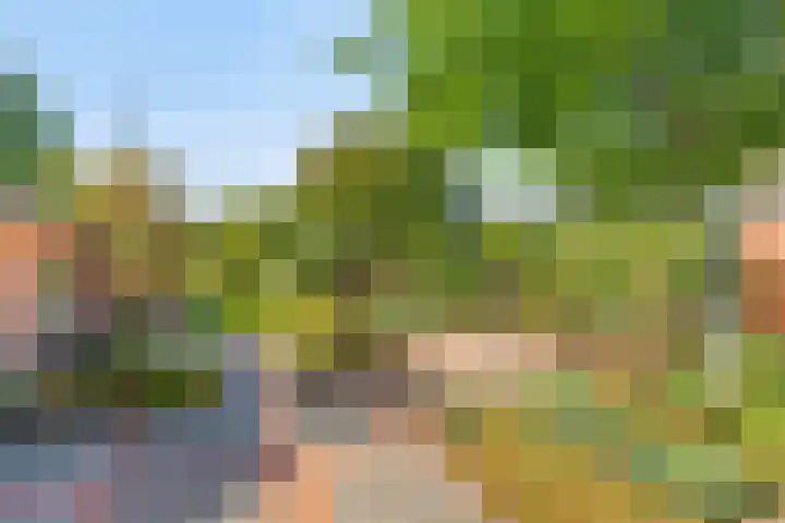 Haarveen 28 Foxwolde thumbnail 47