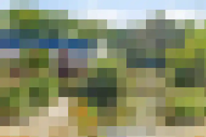 Haarveen 28 Foxwolde thumbnail 48