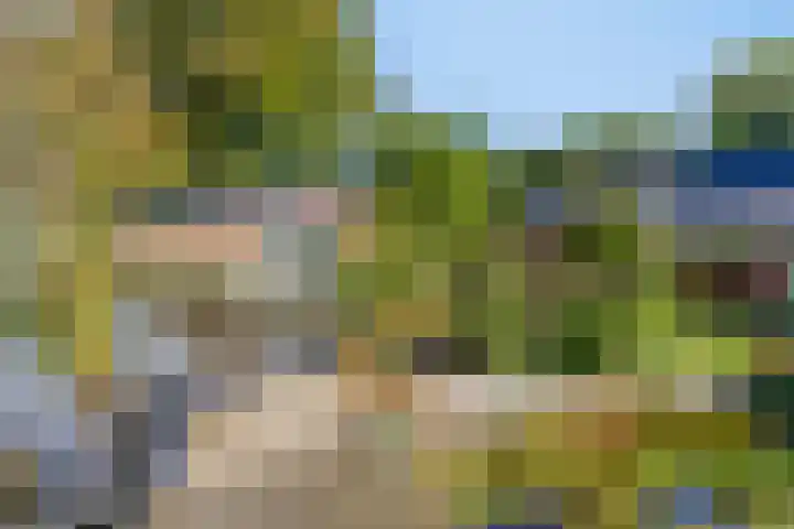Haarveen 28 Foxwolde thumbnail 49