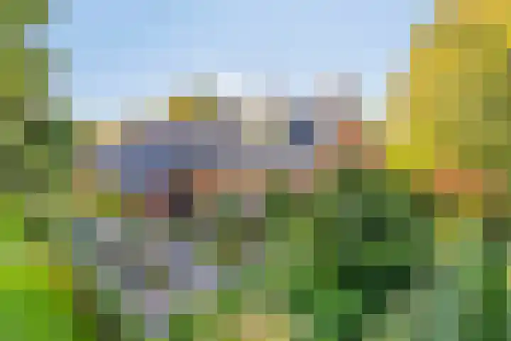 Haarveen 28 Foxwolde thumbnail 5