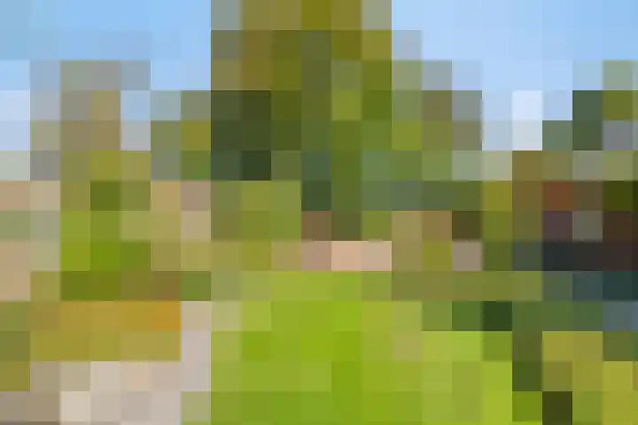Haarveen 28 Foxwolde thumbnail 51
