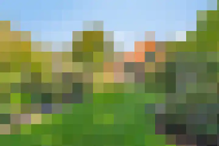 Haarveen 28 Foxwolde thumbnail 57