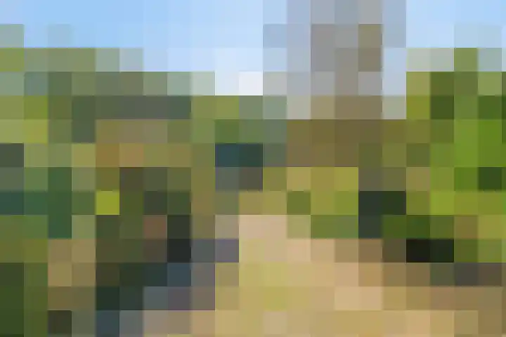 Haarveen 28 Foxwolde thumbnail 61