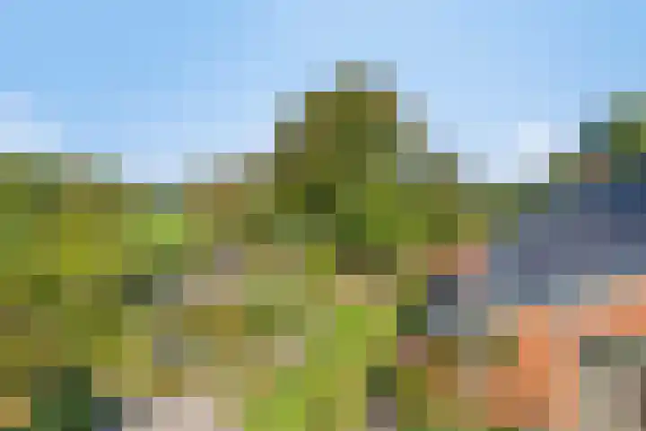 Haarveen 28 Foxwolde thumbnail 73