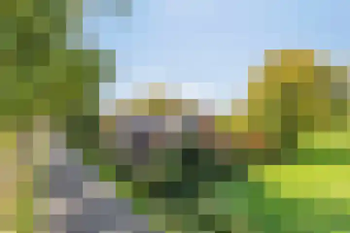 Haarveen 28 Foxwolde thumbnail 74