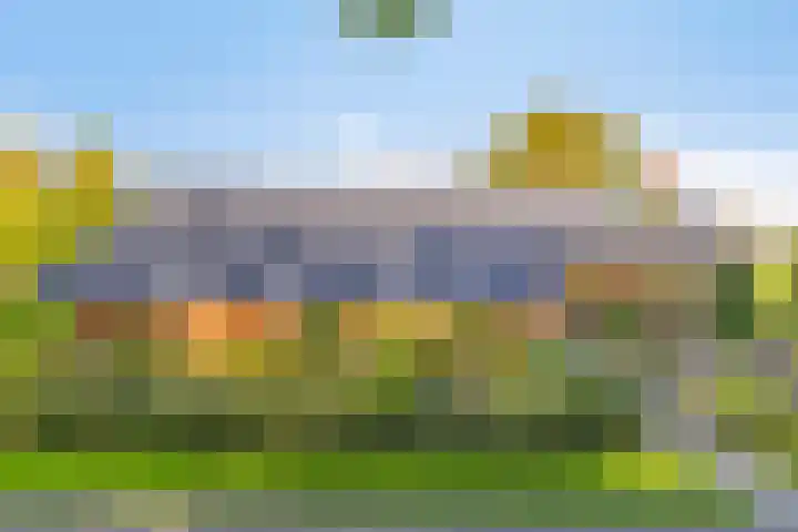 Haarveen 28 Foxwolde thumbnail 77