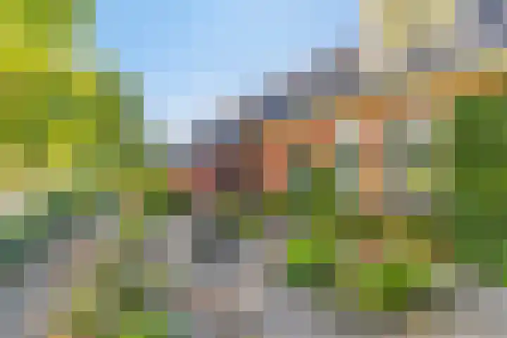 Haarveen 28 Foxwolde thumbnail 78