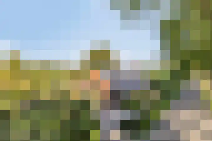 Haarveen 28 Foxwolde thumbnail 79