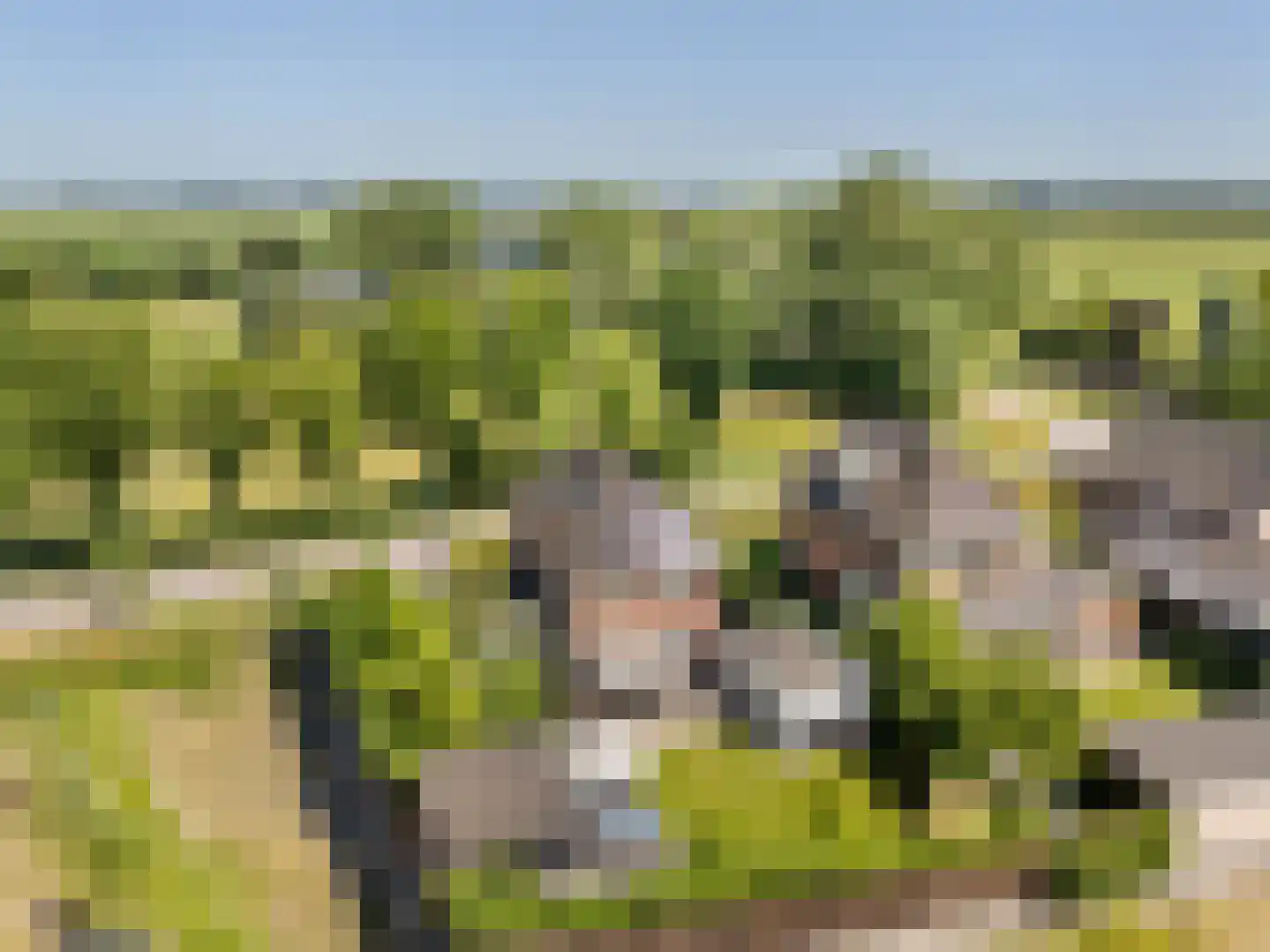 Haarweg 1 e Gorinchem thumbnail 4