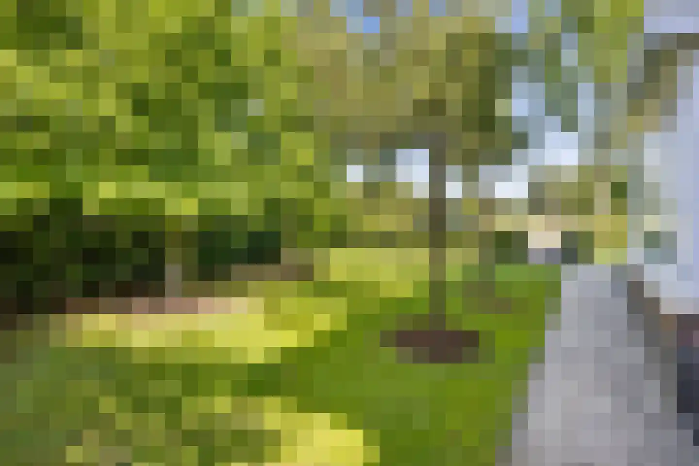 Haarweg 1 e Gorinchem thumbnail 40