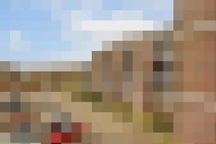 Haas 56 Uithoorn thumbnail 28