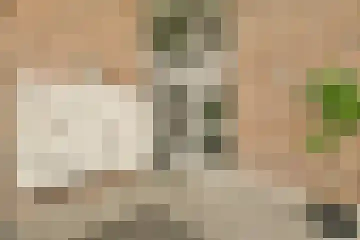 Haas 56 Uithoorn thumbnail 4