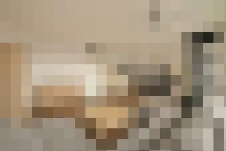 Haas 56 Uithoorn thumbnail 8