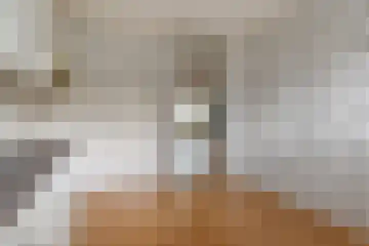 Haastenburg 86 Gouda thumbnail 17
